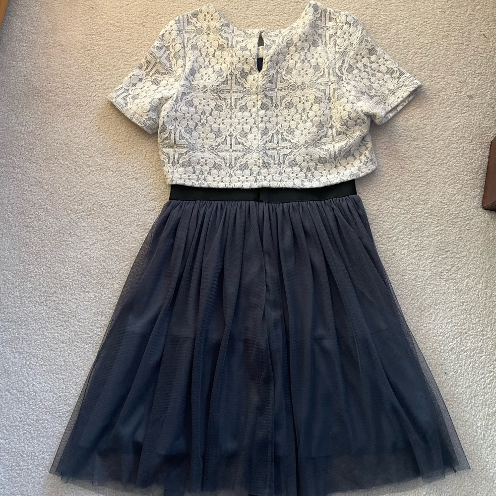Anthropologie X Weston Charcoal Tulle Dress View 4